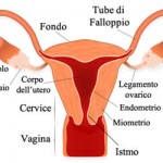ginecologia