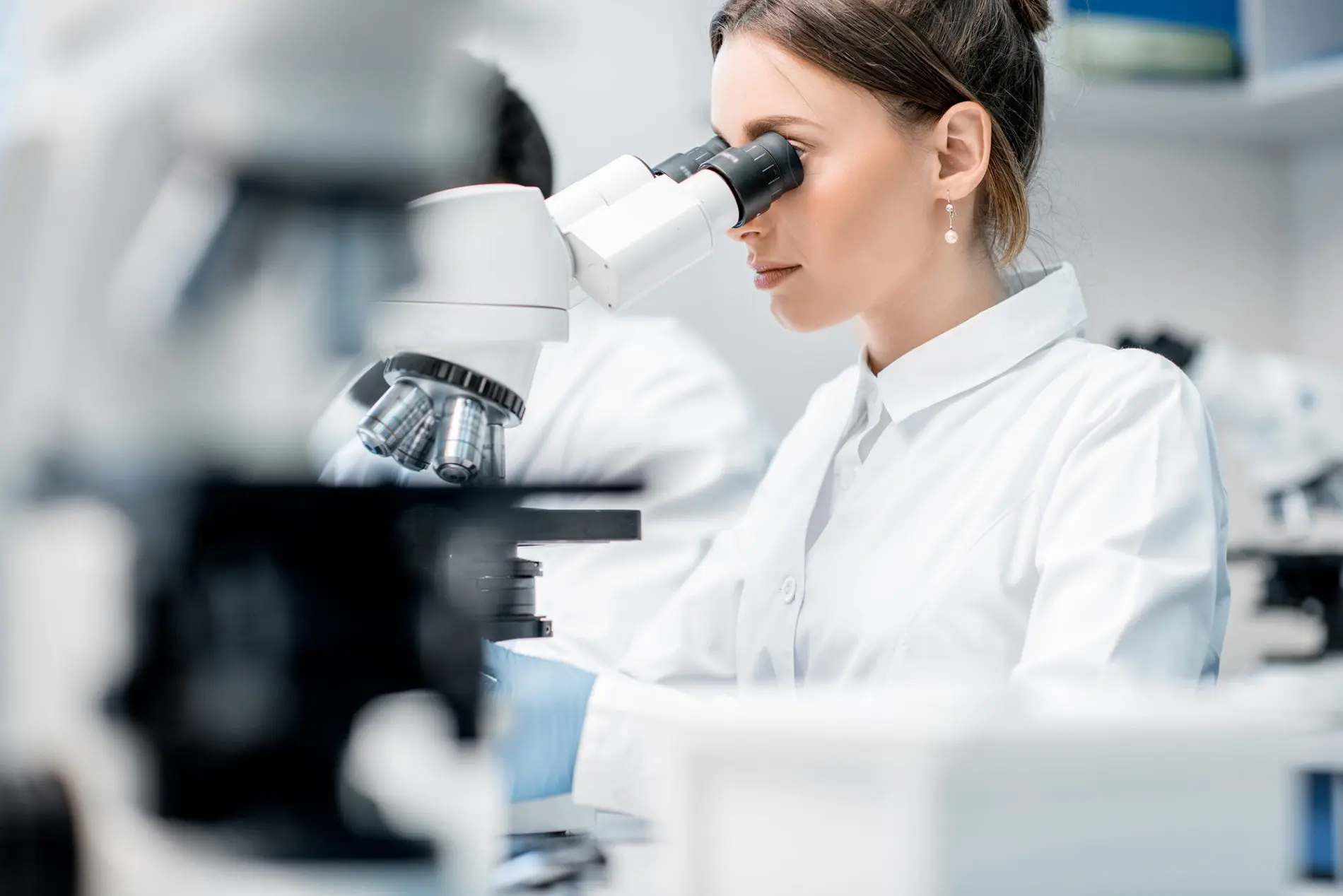 Laboratorio